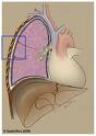 symptoms of mesothelioma law firm